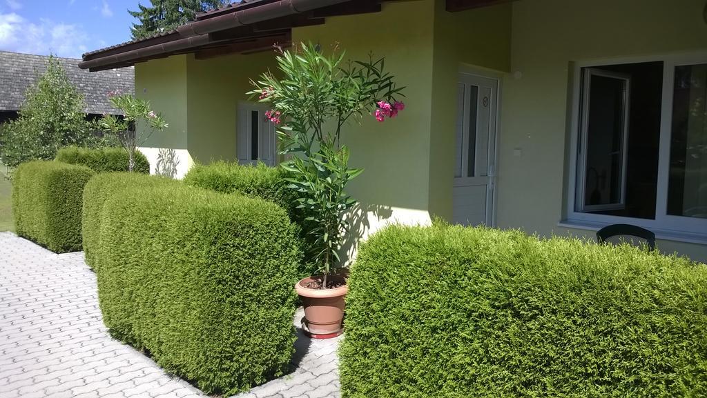 Privat No 13 Apartment ลิฟตอฟสกีมิคูลาช ห้อง รูปภาพ
